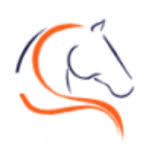 premierperformance.uk logo
