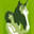 Instinctive Horse Training logo