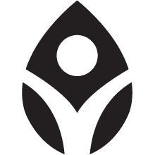 David Lee Acupuncture logo