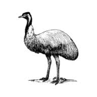 Emu Coach Hire logo