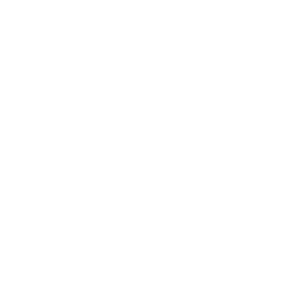 The Wellbeing Agency logo