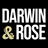Darwin & Rose logo