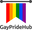 Gaypridehub logo