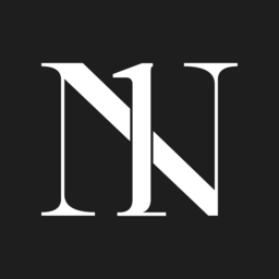 N1 Plastic Surgery logo