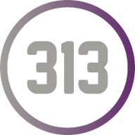 313 Financial logo