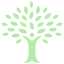 Pistachio Kitchens logo