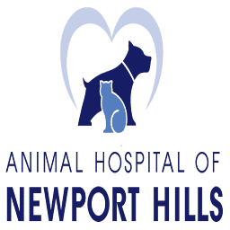 newporthillsvet.com logo