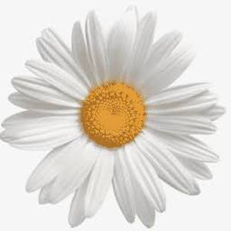 GardenAdvice.co.uk logo