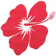 Turtle Island Imports logo