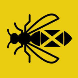 The Wasp Experts Scotland logo