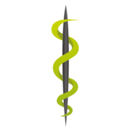 LASE MEDICAL logo
