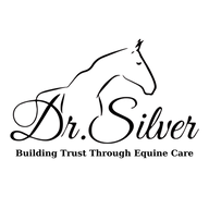 Dr Silver logo