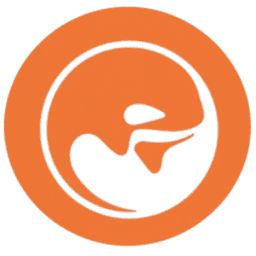 Orkza.com logo