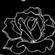 Fool Flowers logo