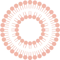 Skin Glo Collagen logo