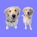 iHeartDogs.com logo