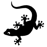 Geckoman logo
