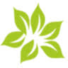 Evergreen Direct Media logo