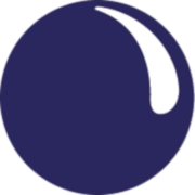 Protect Your Bubble logo