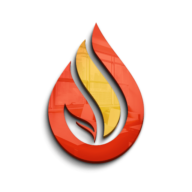Dpaara Overseas Pvt Ltd logo