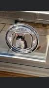 Thatcatflapcompany logo