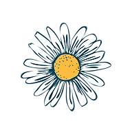 Healthipops logo