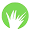 Brunswick Turf logo