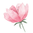 Wise Blue Owl Therapy logo