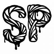 Slide Perfect logo