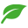 Naturopathica logo