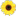 colourfulcoffins.com logo