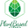 PlantBasedCBD logo