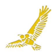 CityHomeDevelopments logo