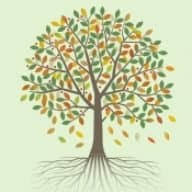 Scattering Ashes logo