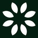 Cleanie logo