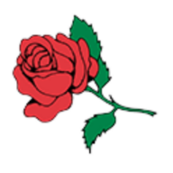 AJ Rose Carpets & Flooring logo