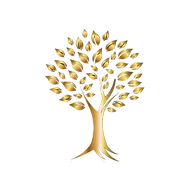 Skinboost logo