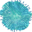 Coastalhypno | Clinical Hypnotherapy logo