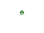 Surreywoodfloors logo