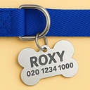 Mydogtags logo