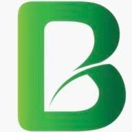 Benjamin Landscaping and Projects logo