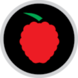 Shaven Raspberry logo