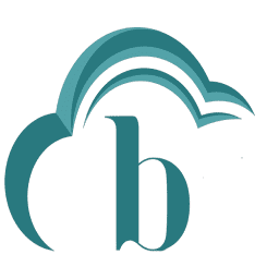 beenaIT Solutions logo