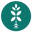 bloomboxusa.com logo