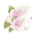 garden-roses.co.uk logo