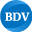 BDV Solutions logo