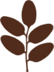 dvashorganics.com logo