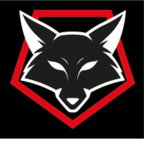 Nightfox Investigations and Debt Recovery Ltd logo