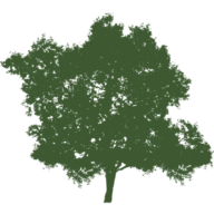 Moness logo