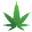 Passion Cannabis logo